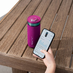 Go Party Portable Bluetooth Speaker Mulberry